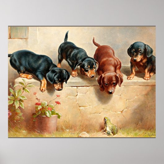 Nieuwsgierig Dachshund-Puppy en kikker Poster (Voorkant)