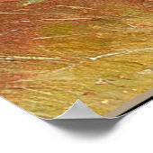 Nieuwsgierig Dachshund-Puppy en kikker Poster (Hoek)