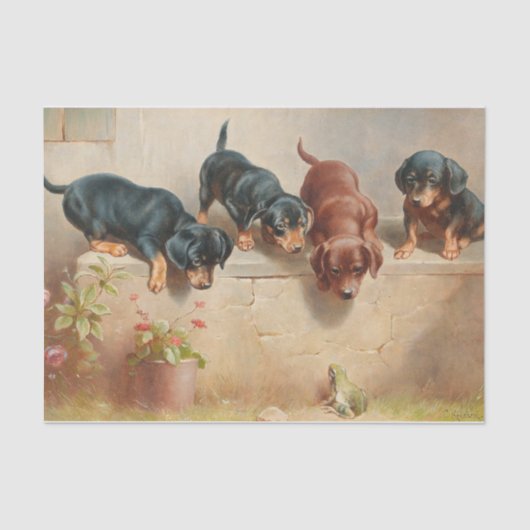 Nieuwsgierig Dachshund-Puppy en kikker van Reicher Tissuepapier (Voorkant)