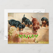 Nieuwsgierig Dachshund-Puppy, kikker, kerst Briefkaart (Voorkant / Achterkant)