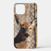 Nieuwsgierig Deer in de Bossen Case-Mate iPhone Case (Achterkant)