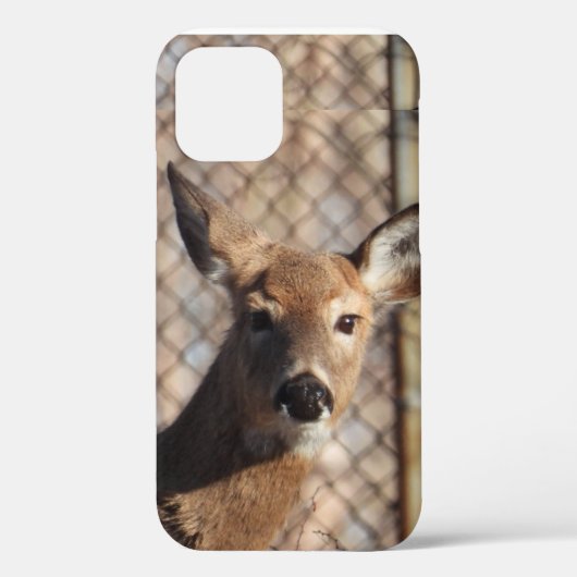 Nieuwsgierig Deer in de Bossen Case-Mate iPhone Case (Achterkant)