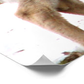 Nieuwsgierig Deer Poster (Hoek)