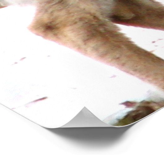 Nieuwsgierig Deer Poster (Hoek)