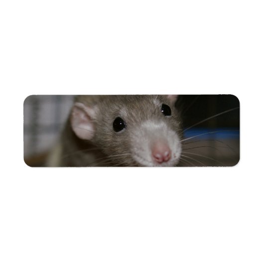 nieuwsgierig etiket (Voorkant)