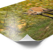 Nieuwsgierig fotoafdrukken foto afdruk (Hoek)