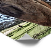 Nieuwsgierig fotografisch afdrukken van Giraffes Poster (Hoek)