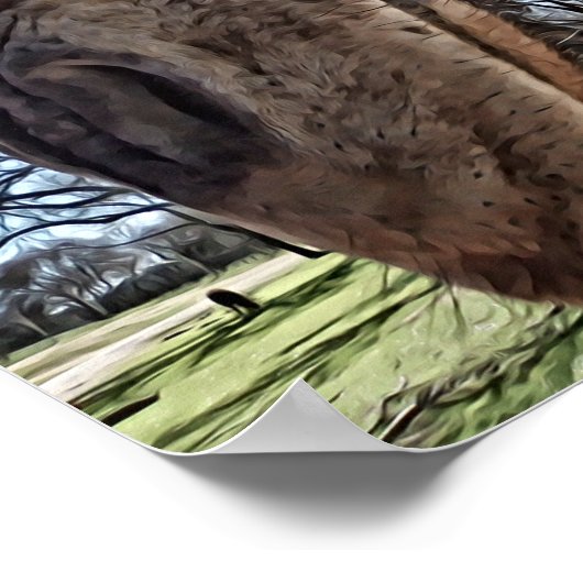 Nieuwsgierig fotografisch afdrukken van Giraffes Poster (Hoek)