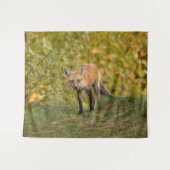 Nieuwsgierig Fox Wandkleed (Voorkant (horizontaal))