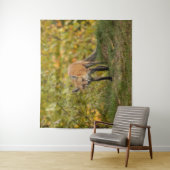Nieuwsgierig Fox Wandkleed (In situ)