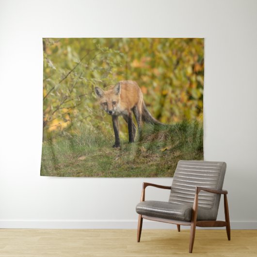 Nieuwsgierig Fox Wandkleed (In Situ (horizontaal))