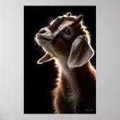 Nieuwsgierig Geitje Poster (Voorkant)