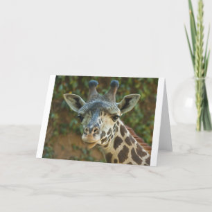 Nieuwsgierig Giraffe Kaart