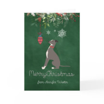 Nieuwsgierig holiday Greyhound Puppy met vrolijke 