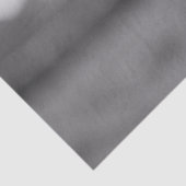 Nieuwsgierig Holstein Koe Zwart-wit Decoupage Tissuepapier (Detail)