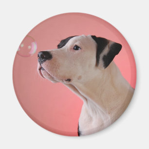 Nieuwsgierig jong magneet