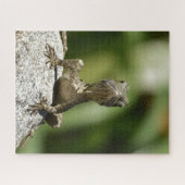 Nieuwsgierig Juvenile Lizard Legpuzzel (Horizontaal)