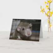 nieuwsgierig kaart (Gele Bloem)