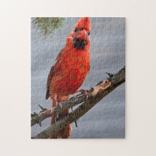 Nieuwsgierig kardinaal puzzel (Verticaal)