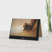 nieuwsgierig Kat Kaart (Achterkant)