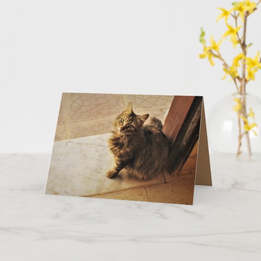 nieuwsgierig Kat Kaart (Gele Bloem)