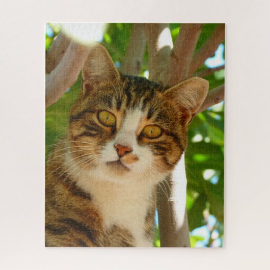 Nieuwsgierig kat legpuzzel (Verticaal)