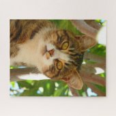 Nieuwsgierig kat legpuzzel (Horizontaal)