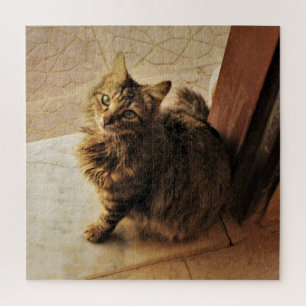 nieuwsgierig Kat Legpuzzel