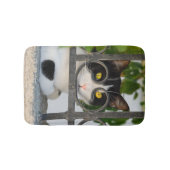 Nieuwsgierig kat met brillenglazen Lijst Badmat (Voorkant)