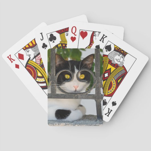 Nieuwsgierig kat met Lijst van bril Funny Foto Pokerkaarten (Achterkant)