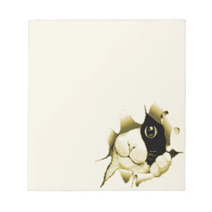 Nieuwsgierig kat notitieblok