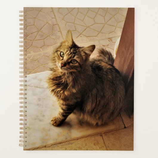 Nieuwsgierig Kat Notitieboek (Voorkant)