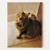 Nieuwsgierig Kat Notitieboek (Achterkant)