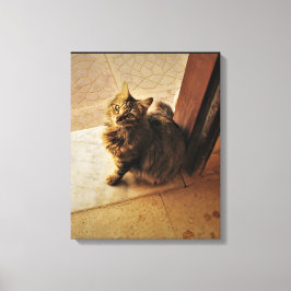 Nieuwsgierig Kat Notitieboek Canvas Afdruk