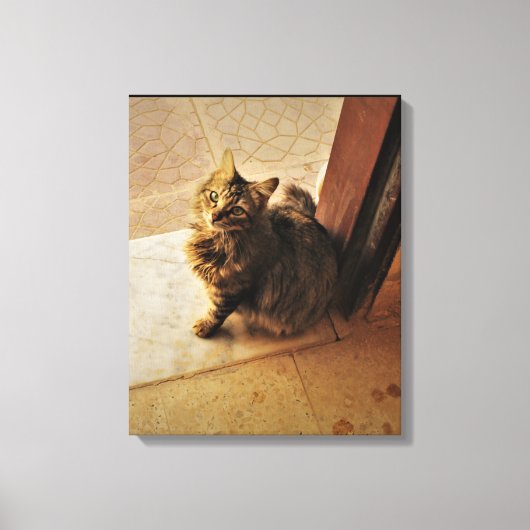 Nieuwsgierig Kat Notitieboek Canvas Afdruk (Voorkant)