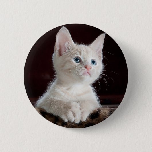 nieuwsgierig kat ronde button 5,7 cm (Voorkant)