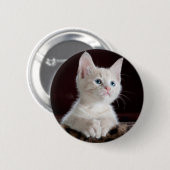 nieuwsgierig kat ronde button 5,7 cm (Voorkant /achterkant)