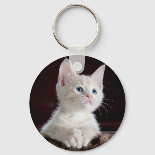 nieuwsgierig kat sleutelhanger (Voorkant)
