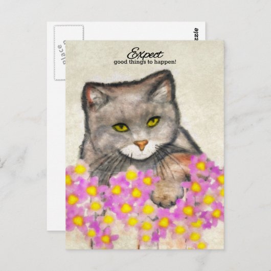 Nieuwsgierig Kat - "Verwacht dat er goede dingen z Briefkaart (Voorkant / Achterkant)