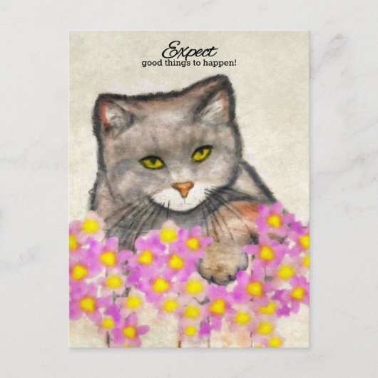 Nieuwsgierig Kat - "Verwacht dat er goede dingen z Briefkaart (Voorkant)