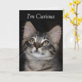 Nieuwsgierig Kitten, ik heb je Kaart gemist (Gele Bloem)