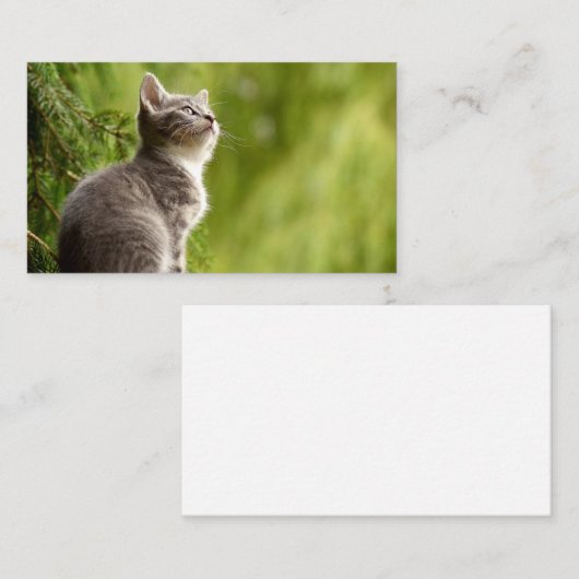 nieuwsgierig Kitten Visitekaartje (Voorkant / Achterkant)