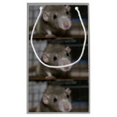 nieuwsgierig klein cadeauzakje (Achterkant)