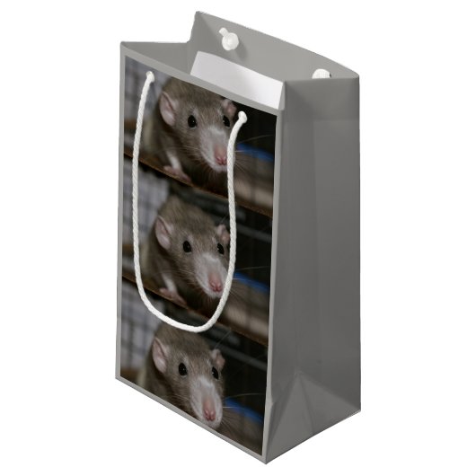 nieuwsgierig klein cadeauzakje (Voorkant Gekanteld)