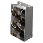 nieuwsgierig klein cadeauzakje (Achterkant Gekanteld)