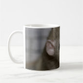 nieuwsgierig koffiemok (Links)
