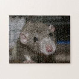 nieuwsgierig legpuzzel