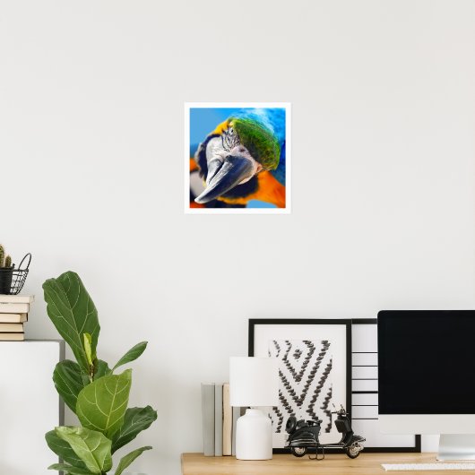 Nieuwsgierig Macaw Poster (Thuiskantoor)