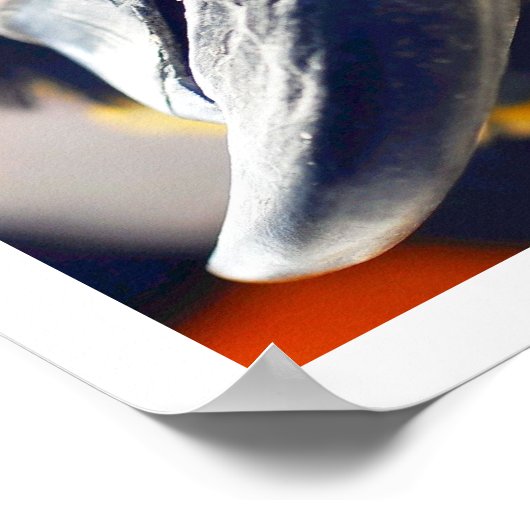 Nieuwsgierig Macaw Poster (Hoek)