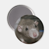 nieuwsgierig magneet (Voorkant / Achterkant)